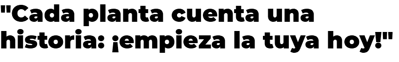 "Cada planta cuenta una historia: ¡empieza la tuya hoy!"